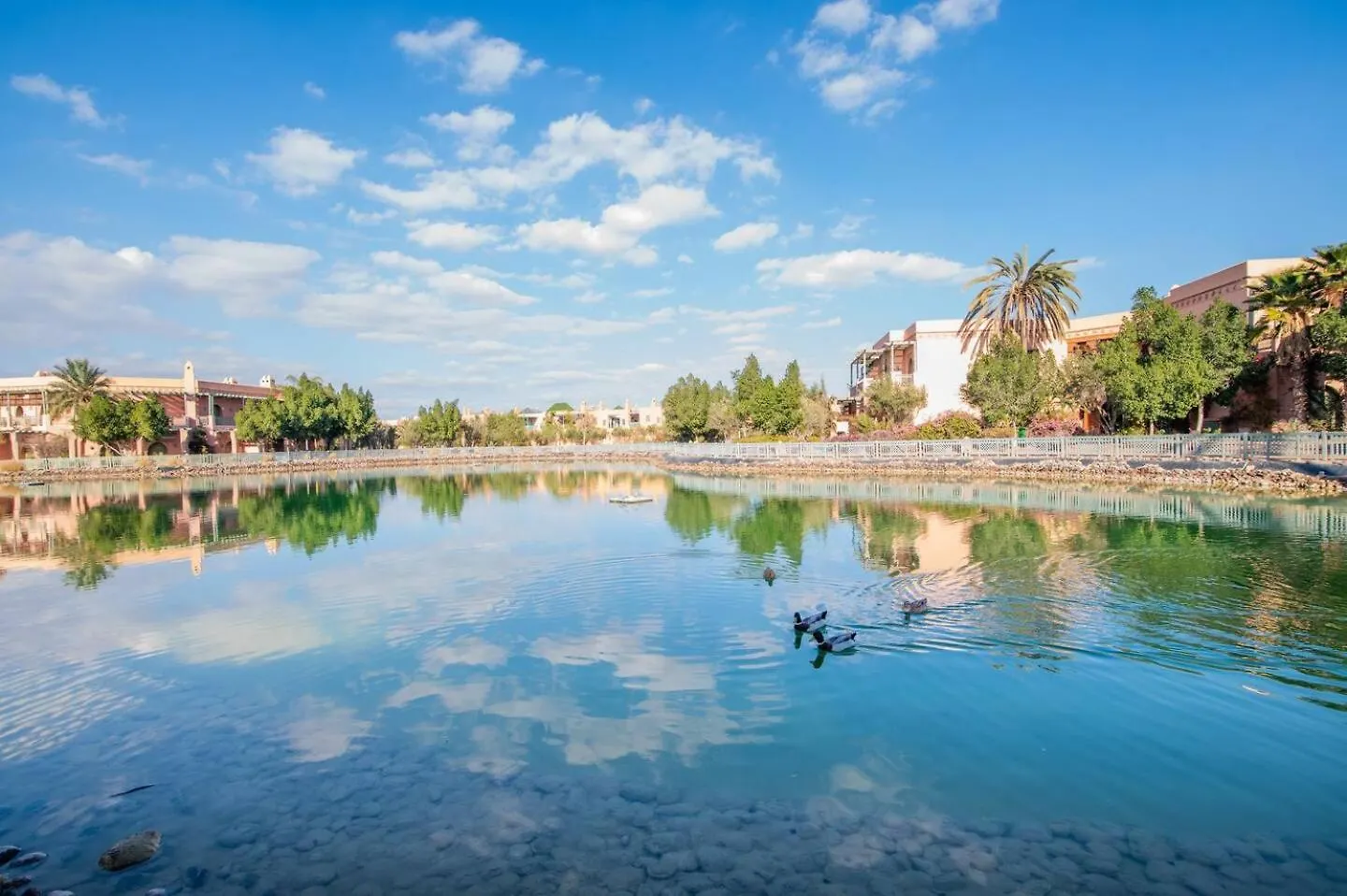 Appartement Familiale A Marrakech Jardin Piscine Lac Et Parc Pour Enfants مراكش 0*,  المغرب